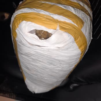 Maman Evde'den Açık, Orijinal Olmayan Kedi Maması İçin Tam İade Talebi