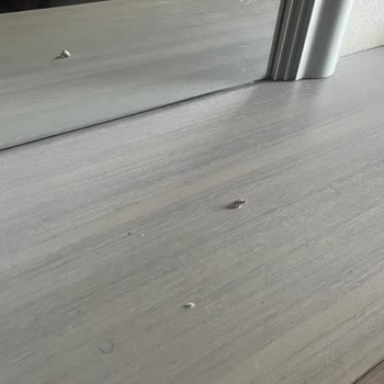 Kirli Oda Ve Geciken Giriş Süreci Nedeniyle Tatil Günü Kayıp