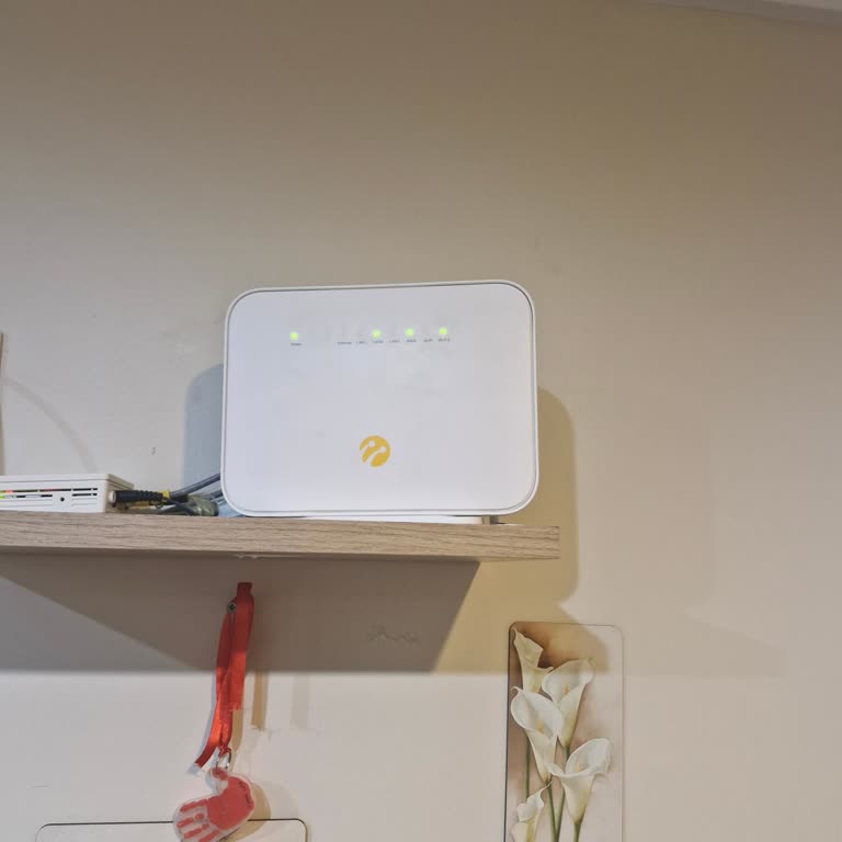 Superonline Bağlantı Hatası Nedeniyle İnternet Kesildi: Acil Düzeltme Talebi