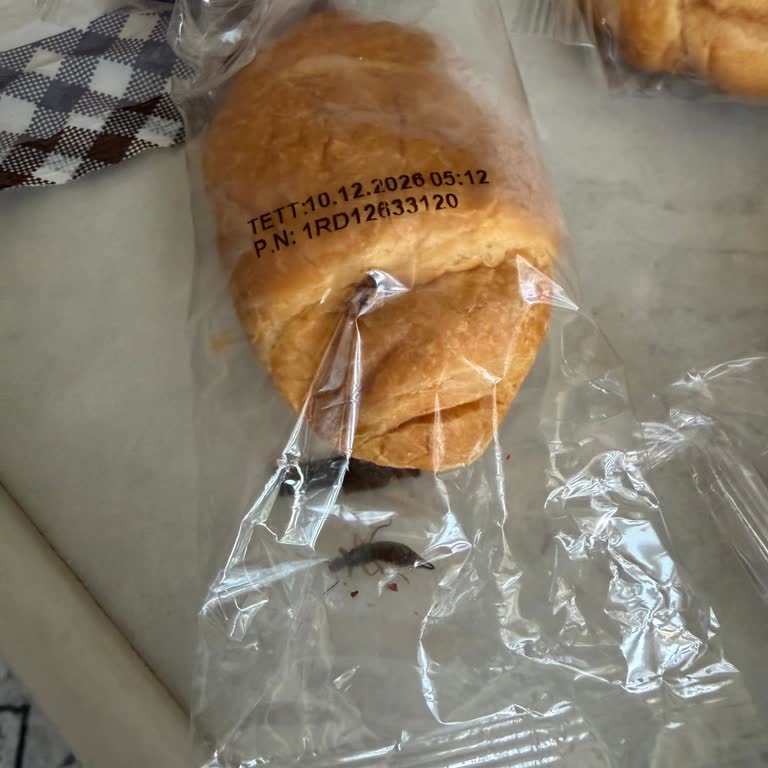 UNO Markasından Satın Alınan Kruvasan Üründe Görülen Böcek Gıda Güvenliğini Tehdit Ediyor
