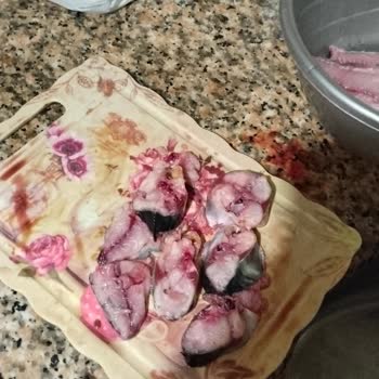 Satın Aldığım Taze Palamut Balığı Çürük Çıktı, Sağlık Riski Ve İade Talebi