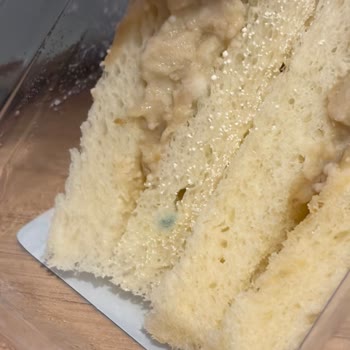 Migros Küflü Ton Balıklı Sandviçte Hijyen ve Sağlık Riski