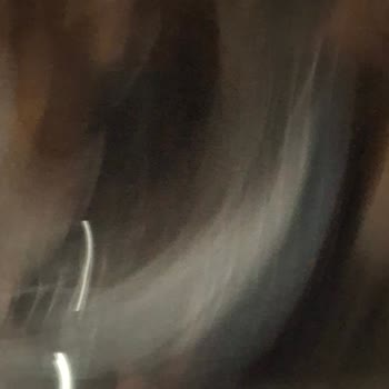 Sıkma Süresi Hatalı Ve Gürültülü Çamaşır Makinesi