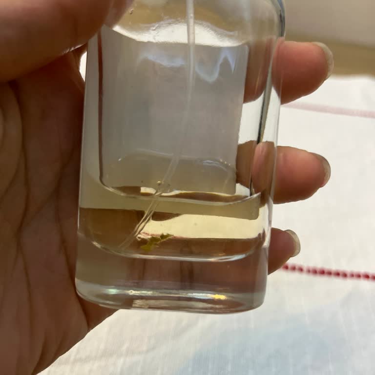 Parfüm Sprey Mekanizması Bozuk Ve Sızdırıyor