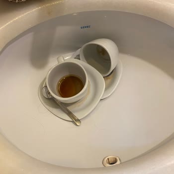 Starlight Otel'de Hijyen Ve Yanıltıcı Servis Sorunlarıyla Ücret İadesi Talebi