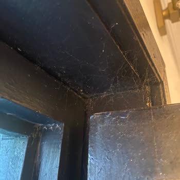 Starlight Otel'de Hijyen Ve Yanıltıcı Servis Sorunlarıyla Ücret İadesi Talebi