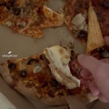 Domino's Pizza, Pizza Harici Her Şeye Benziyor