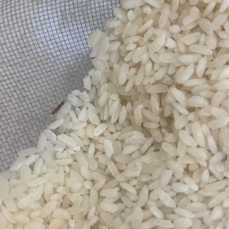 Migros Baldo Pirinçte Kurtlanma Ve Sağlık Riski