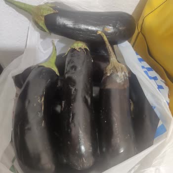 Çürük Ürünler Ve Geri Yüklenmeyen Puanlar