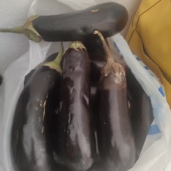 Çürük Ürünler Ve Geri Yüklenmeyen Puanlar
