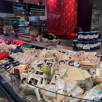 Et Ve Peynir Reyonlarındaki Kediler Hijyen Riski Oluşturuyor