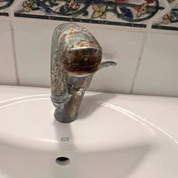 Afytos Park Ören Hijyen Ve Bakım Sorunları, Yanıltıcı Reklamlar Nedeniyle Tam İade Talebi