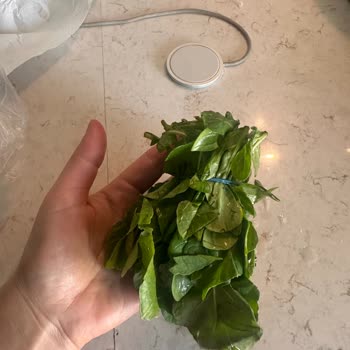 Migros Hemen'den Çürük Roka Ve Uzayan İade Süreci