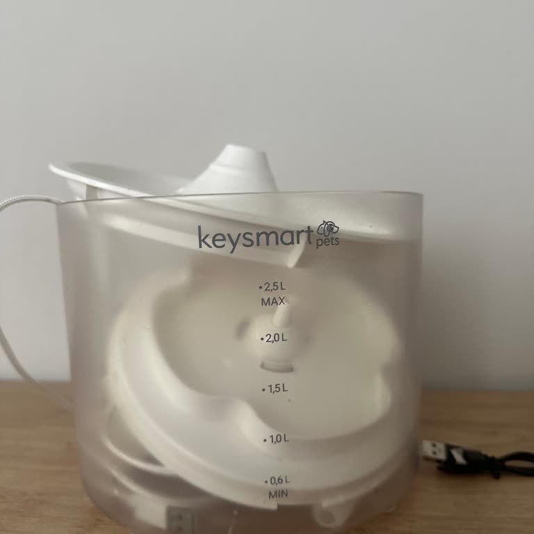 Keysmart P101 Su Pınarı İçin Yedek Filtre Bulunamaması Mağduriyet Yarattı