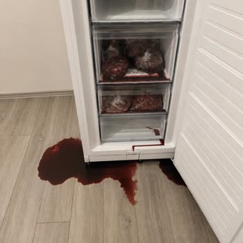 Derin Dondurucuda Gaz Kaçağı Nedeniyle 30 Bin TL Değerinde Et Ve Zemin Hasarı İçin Tazminat Talebi