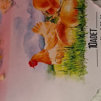 Mlife Bio 10’lu Yumurta Küflü, Sağlık Riski Ve Denetim Eksikliği