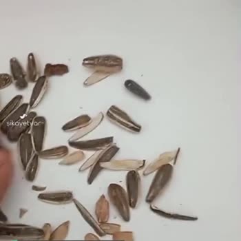 Çerezya Görsel Yanıltmacası!