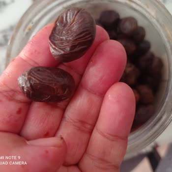 Silifke BİM Şubesinde Son Tarihi Geçmemiş Bozulmuş Zeytin Kavanozu