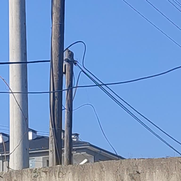 Düzce’de 3 Gün Süren İnternet Kesintisi Ve Acil Onarım Talebi