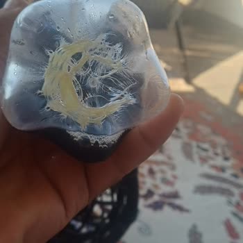 Cola Turka Şişesinde Mazot Kokusu: Sağlık Endişesi Ve Güven Kaybı