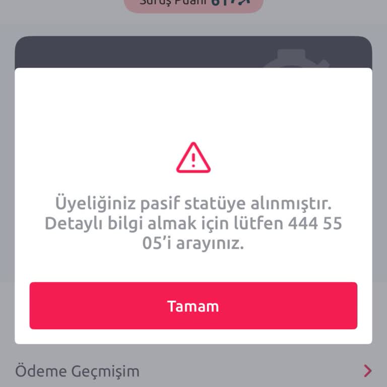 Tiktak Uygulamasında Hesabım Pasif Duruma Alındı Açıklama Ve Çözüm Talebi