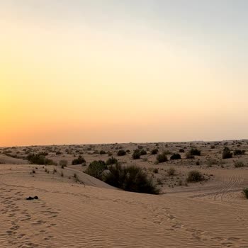 Tripventura Turizm'in Dubai Çöl Safari Turunda Geç Başlangıç, Zorunlu Alışveriş Ve Eksik Safari Deneyimi