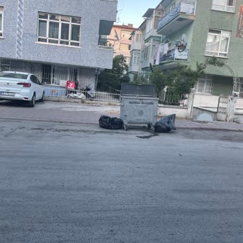 Çöp Konteyneri Otopark Girişini Kapıyor Ve Sağlığımıza Tehdit Oluşturuyor