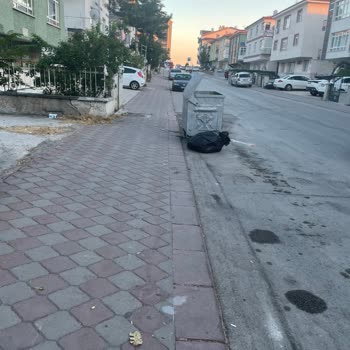 Çöp Konteyneri Otopark Girişini Kapıyor Ve Sağlığımıza Tehdit Oluşturuyor