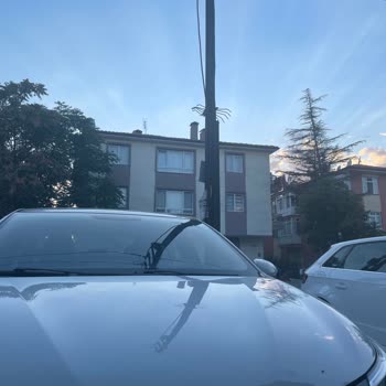 Çöp Konteyneri Otopark Girişini Kapıyor Ve Sağlığımıza Tehdit Oluşturuyor