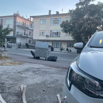 Çöp Konteyneri Otopark Girişini Kapıyor Ve Sağlığımıza Tehdit Oluşturuyor