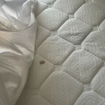 İpek Hotel Konaklama Sırasında Ciddi Mağduriyet Yaşadım