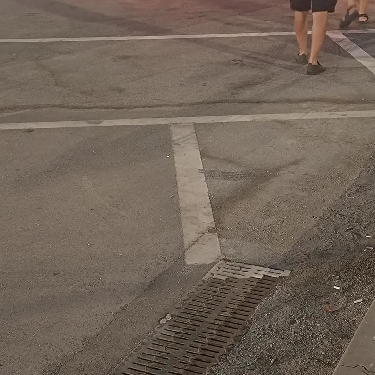 Kale Seyahat'te Uzayan Güzergah Ve Şoförün Kaba Üslubu