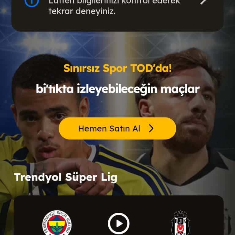 Todd Hesabına Giriş Yapamama Ve Destek Kanalı Bulamama