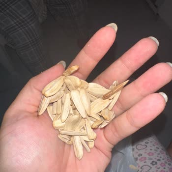 A101'de Çerezya Ay Çekirdeği Beyaz Ve Lezzetsiz Çıktı