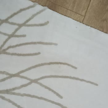 Ödenen 3000 TL Karşılığında Kirli Halı Teslimi Ve Faturasız İade Talebi
