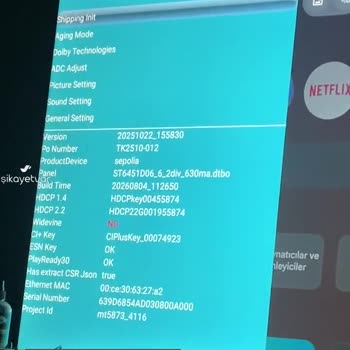 Dijitsu Netflix Vb Lisans Sorunu (Widevine)