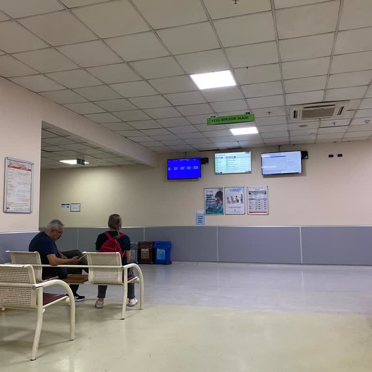 Acil Serviste Kayıt Ve Test Sürelerinin Uzunluğu, İlaç Eksikliği Ve Yönlendirme Sorunu
