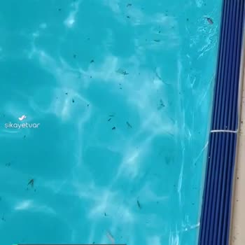 Kültür Ve Turizm Bakanlığı Mc Beach Park Resort Otel Şikayeti