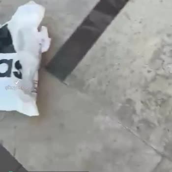 Adidas Ayakkabıya Sahip Çıkmadı!