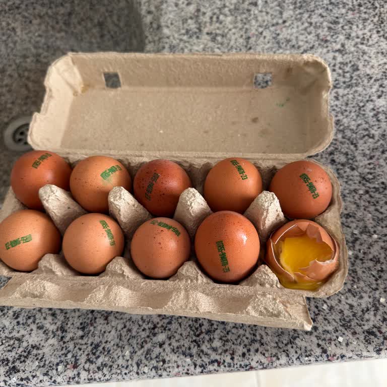 Kırık Yumurtalar Ve İade Sözünün Tutulmaması