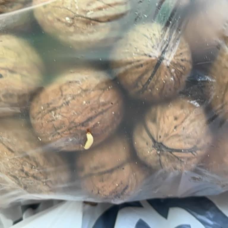 Migros Mağazasında Kurtlu Ceviz Satışı Sağlık Riski Ve İade Talebi
