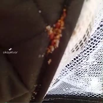 Ebebek Baby Plus Park Yatak Böcekli
