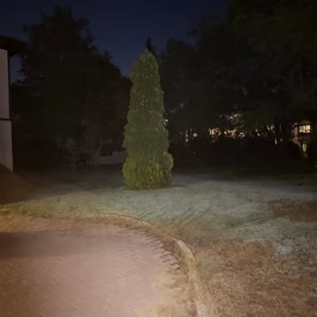 Ağır Hijyen Ve Güvenlik İhlalleri Nedeniyle Aile Yaralandı, 51.200 TL İade Talebi