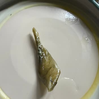 Kavanozda Bulunan Yabancı Madde Ürün Güvenliğini Tehdit Ediyor