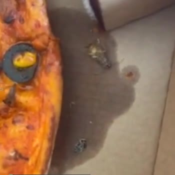 Böcekli Sbarro Pizza