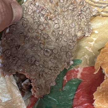 Burger King Spoiled Meat Complaint: Compensation Request