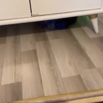 Dyson Robot Süpürge Evi Temizlemiyor, Aynı Yerde Dönüp Duruyor