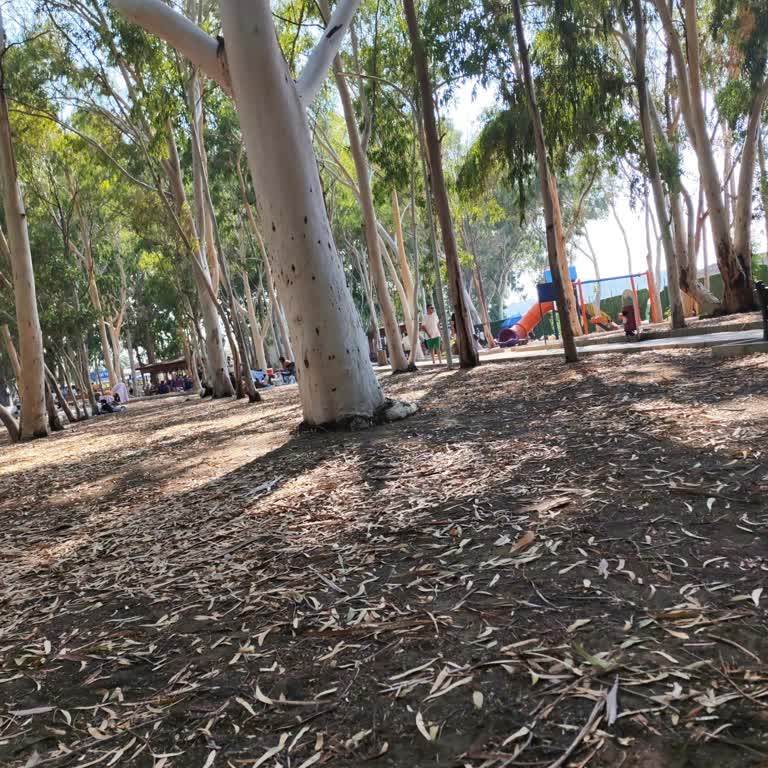 Arsuz’da Sem Beach Halk Plajında Ücretsiz Tuvalet Eksikliği