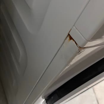 Beko Çamaşır Makinesinde Hızla Artan Boya Kabarması Ve Paslanma Sorunu