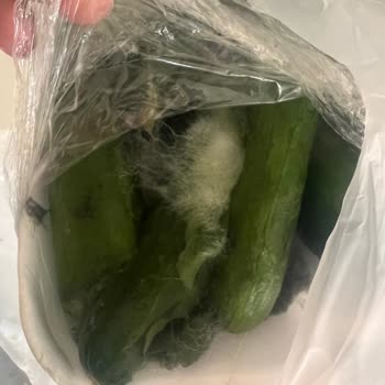 Sağlık Riski Taşıyan Bozulmuş Salatalık Siparişi Ve Yanıtsız Şikayet